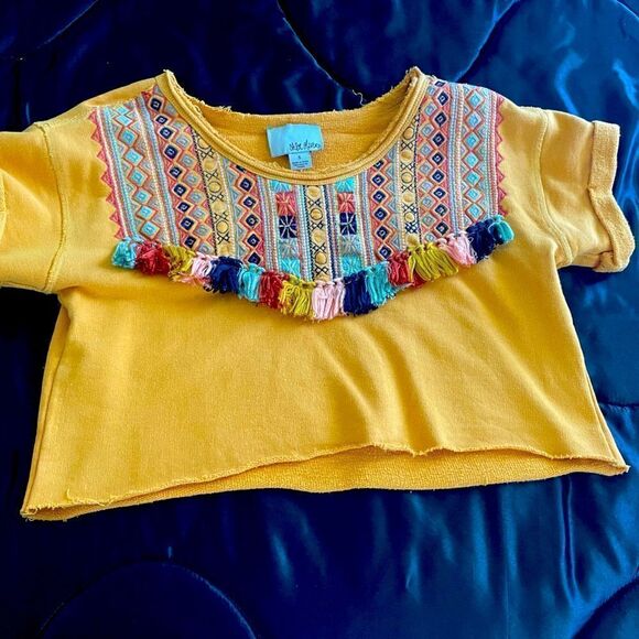 Anthropologie Tops - Anthropologie | Chloe Oliver Valencia Tassel Top Cropped Boho Sweatshirt Blouse